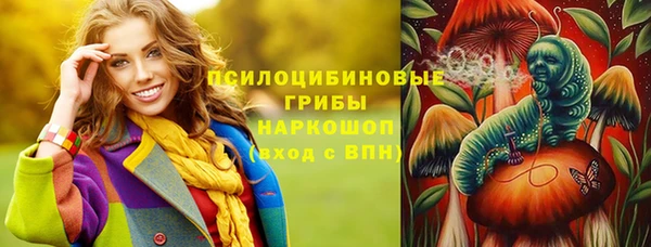 сатива Переславль-Залесский