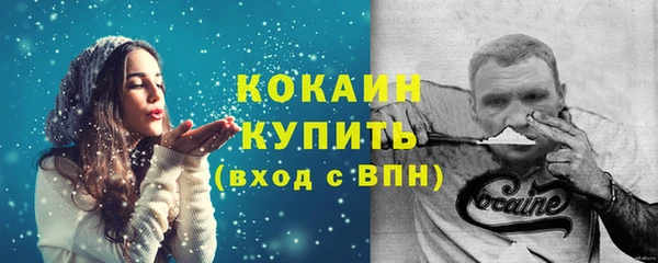 меф Пересвет